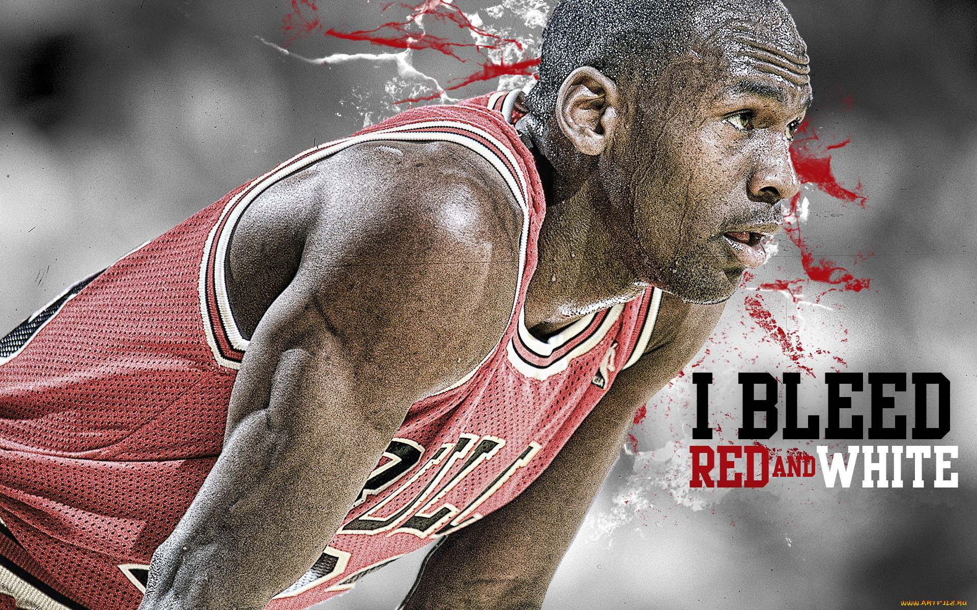 , nba, 